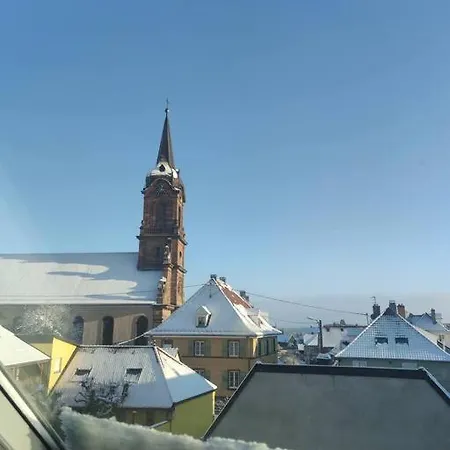 Beau Duplex Au Pied Des Vosges *