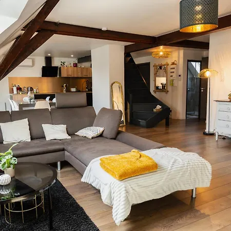 Beau Duplex Au Pied Des Vosges Apartment