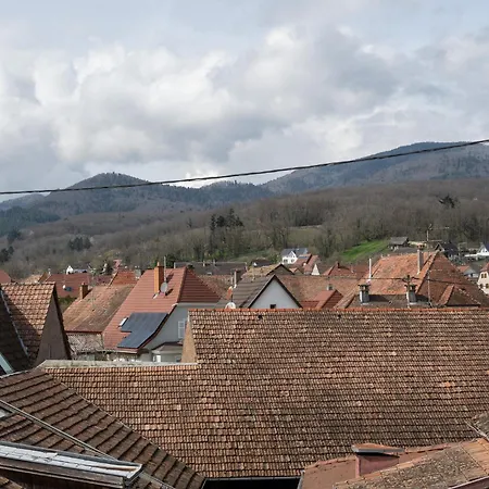 公寓 Beau Duplex Au Pied Des Vosges