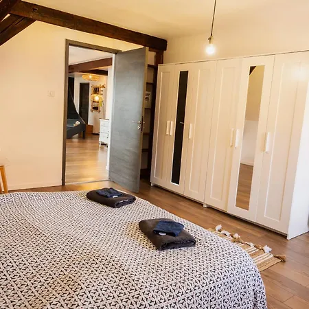 Apartment Beau Duplex Au Pied Des Vosges *
