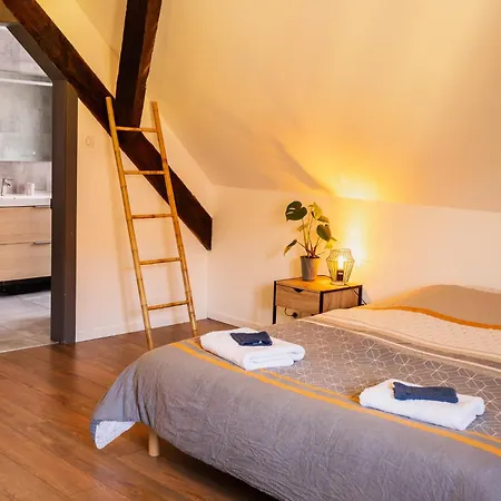 Beau Duplex Au Pied Des Vosges
