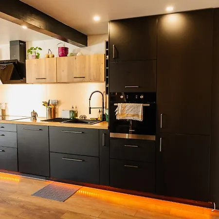 公寓 Beau Duplex Au Pied Des Vosges