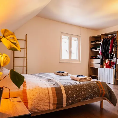 Beau Duplex Au Pied Des Vosges 公寓 *