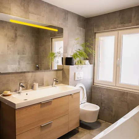 Apartment Beau Duplex Au Pied Des Vosges *