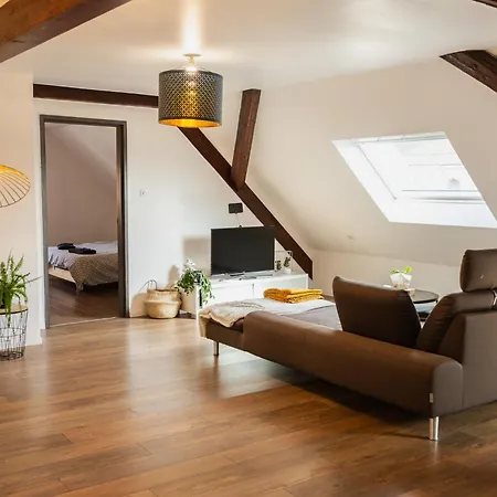 Beau Duplex Au Pied Des Vosges *