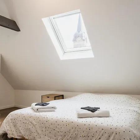Beau Duplex Au Pied Des Vosges 公寓