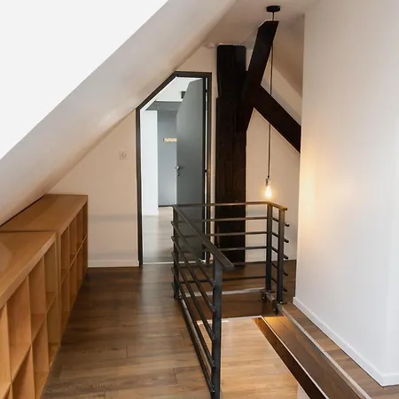 公寓 Beau Duplex Au Pied Des Vosges *